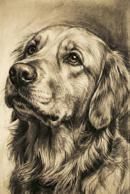 Custom Charcoal Pet Sketch | Personalized Pencil Portrait custom artwork