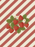 Strawberry Vintage Stripe Art Print