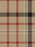 Burberry Check Inspired Art Print