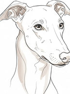 Custom Minimalist Line Art Pet Portrait