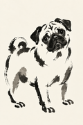 Pug portrait in expressive black ink and soft gray washes on a warm ivory background